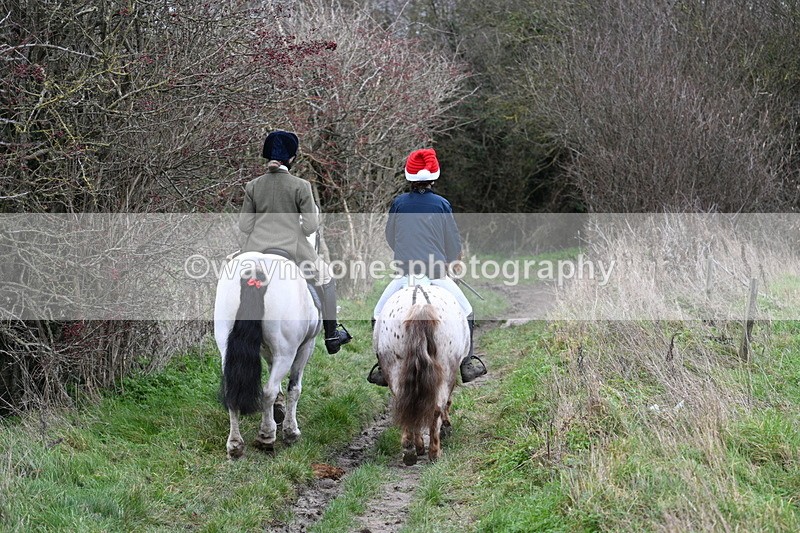 WJ7_0883 - First Seen