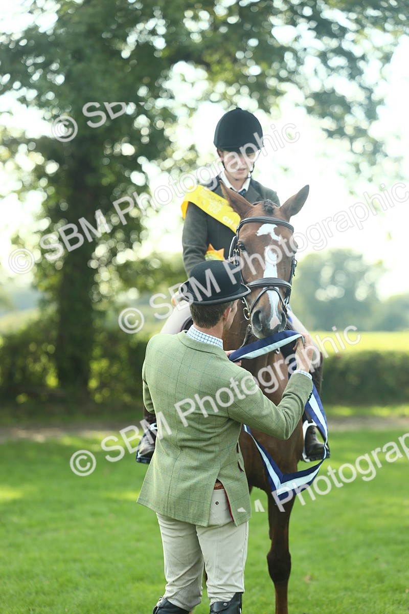 SBM_52286 - Working Hunter Supreme Championship