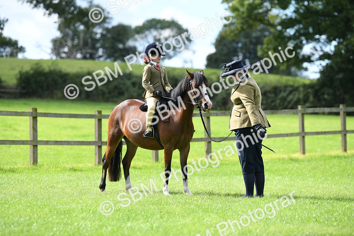 SBM_42530 - S20 - Lead Rein Mountain & Moorland Pony