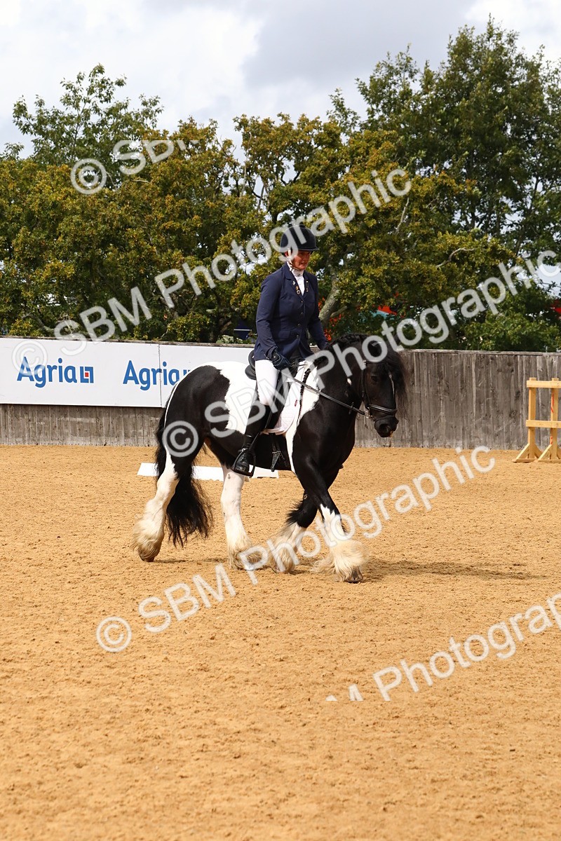 SBM_21006 - D5 - Small Tour Championshop Intro 2