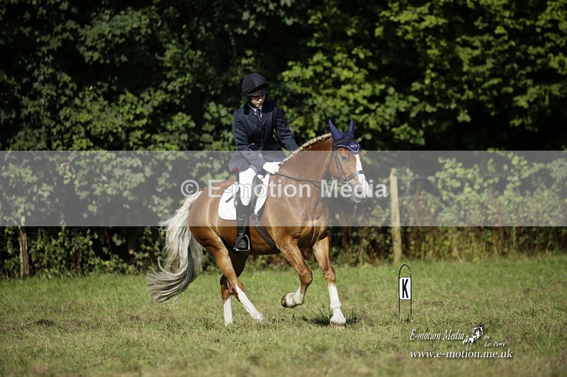 BVRC 120921 203 - Bourne Valley Riding Club UA Dressage & Show Jumping 12/09/21