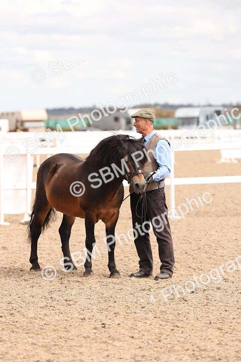 SBM_15131 - Class 209 - IH Veteran Pony