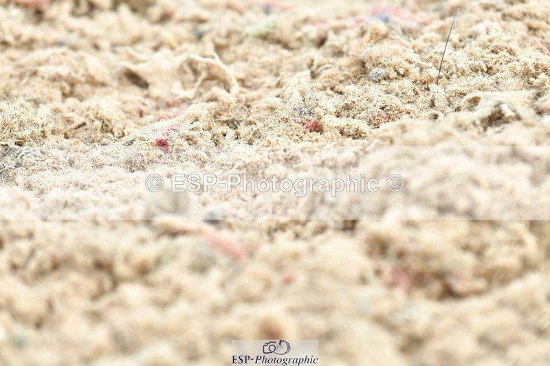 230630A-100244-00246 - Cls 2 Prelim 19