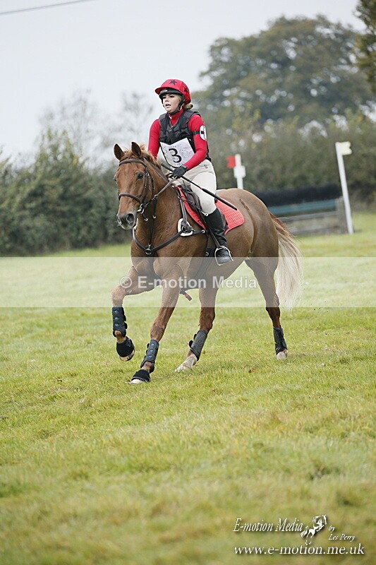 WWHT 181020 WWHT 181020 421 - WWEC Open Novice (0.80m) 18/10/20