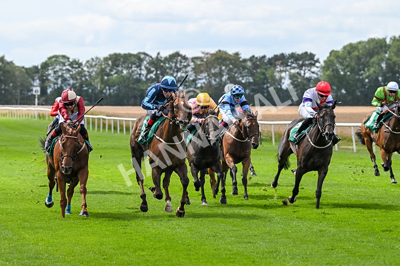 080825-Race 1-Golden Prosperity-1735 - Race 1