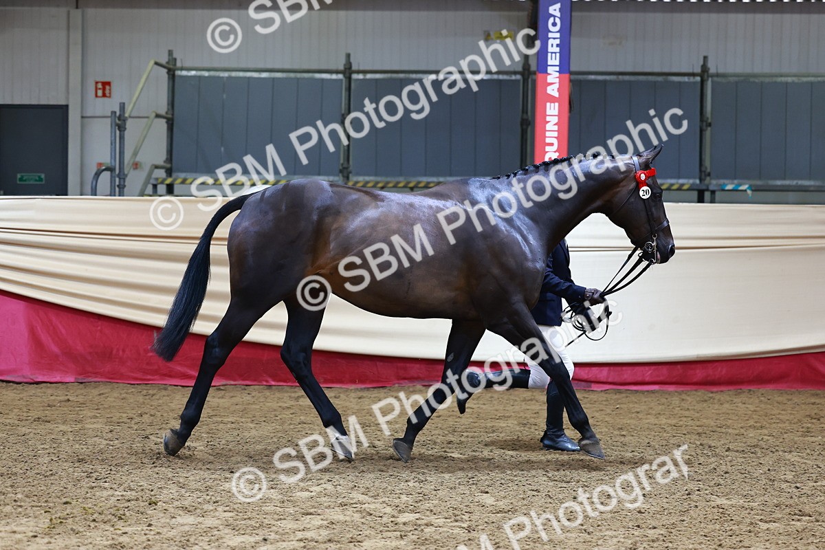 SBM_22108 - Class 902 - Supreme Final - IH Diamond