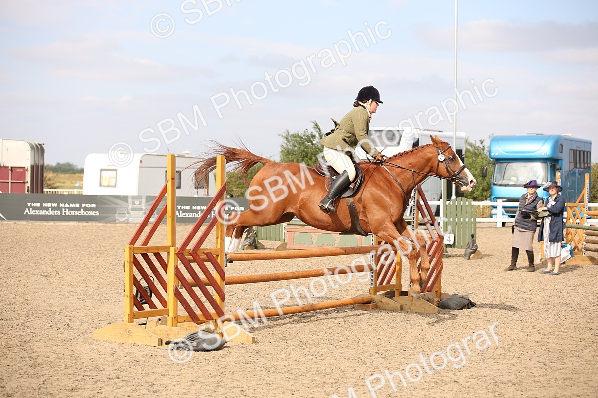 SBM_17316 - Class 410a - Wor5king Veteran 90cm (15-19)