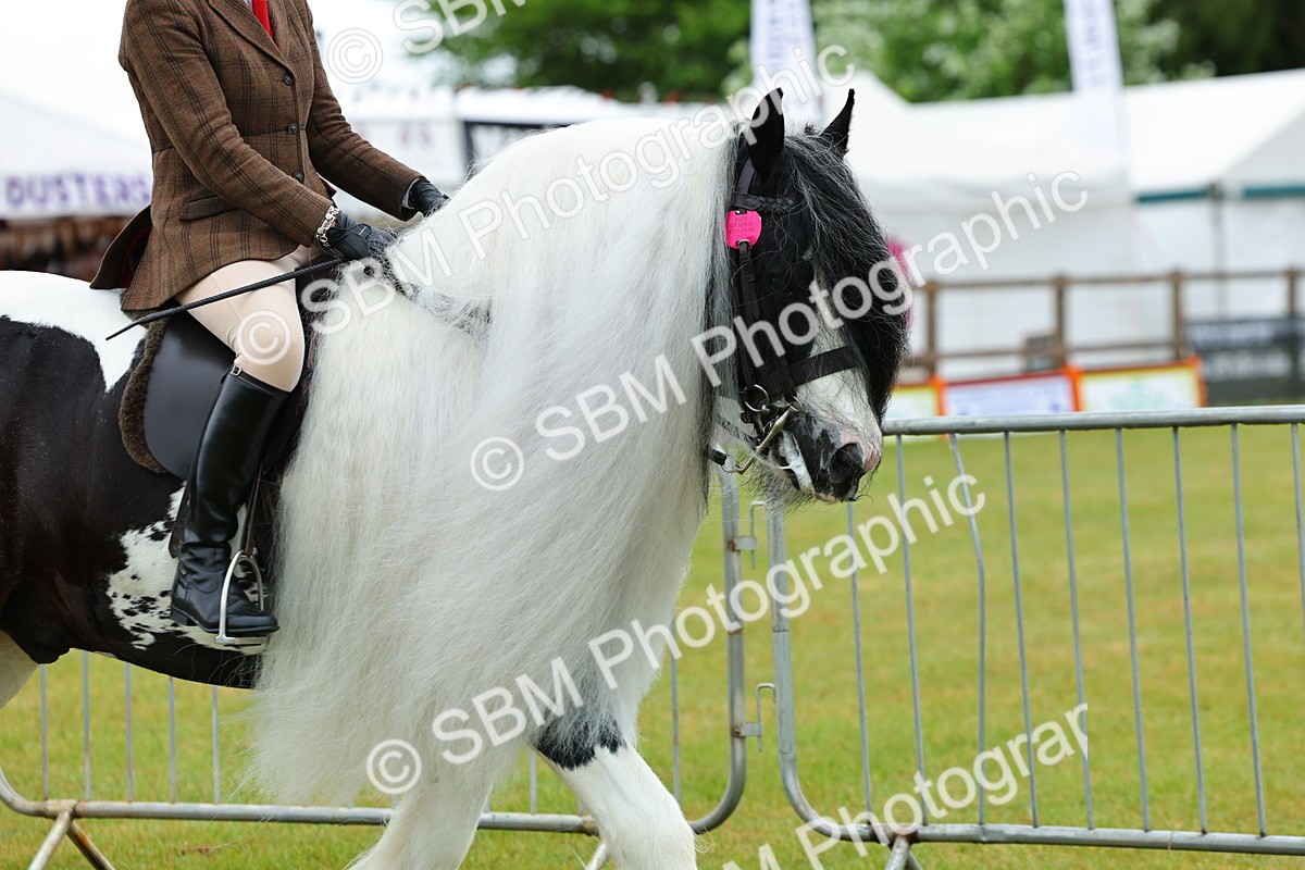 SBM_01102 - Class 1-4 - BSPA Ridden