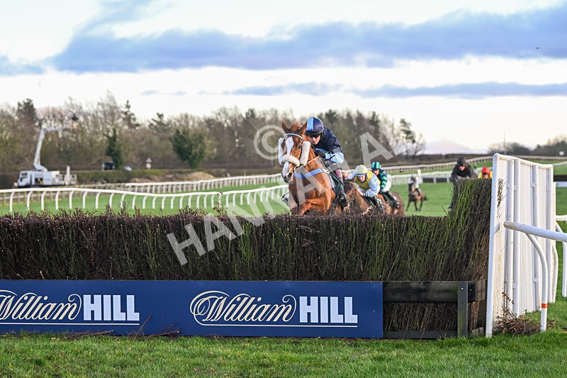 281224-Race 5-Poetry Man-4805 - Race 5