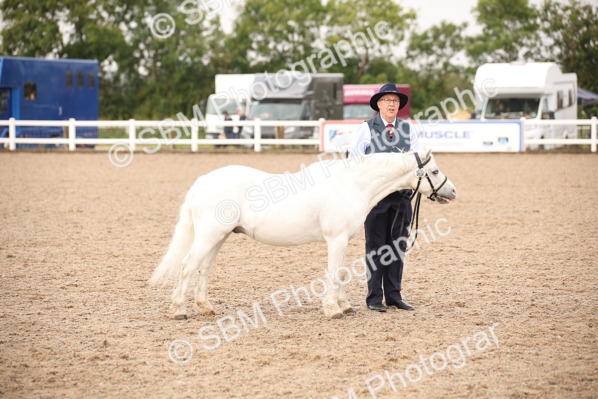 SBM_21452 - Class 706 - IH  Veteran