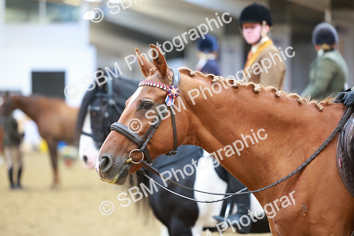 SBM_09711 - Class 102 - HOYS Veteran Qualifier - Ridden Veteran
