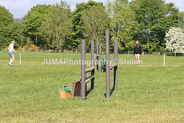 IMG_4760 - Working Hunter