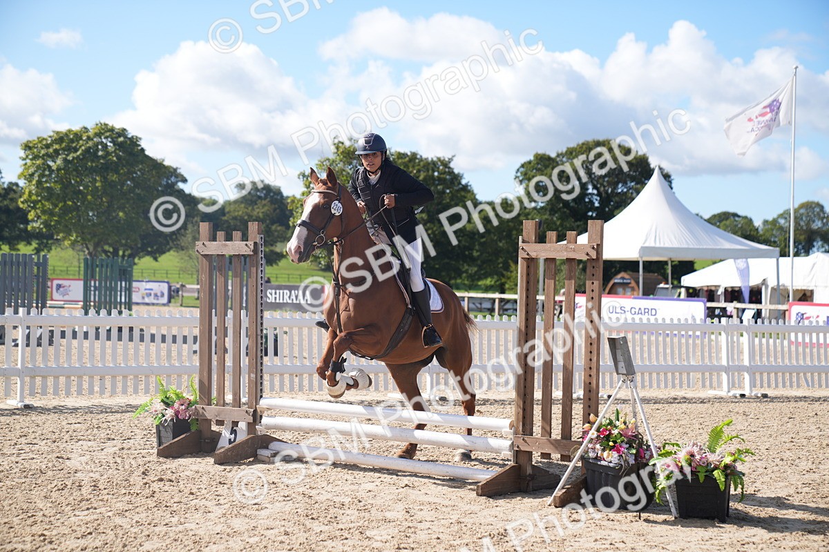 SBM_02429 - J54 Clear Round 45cm