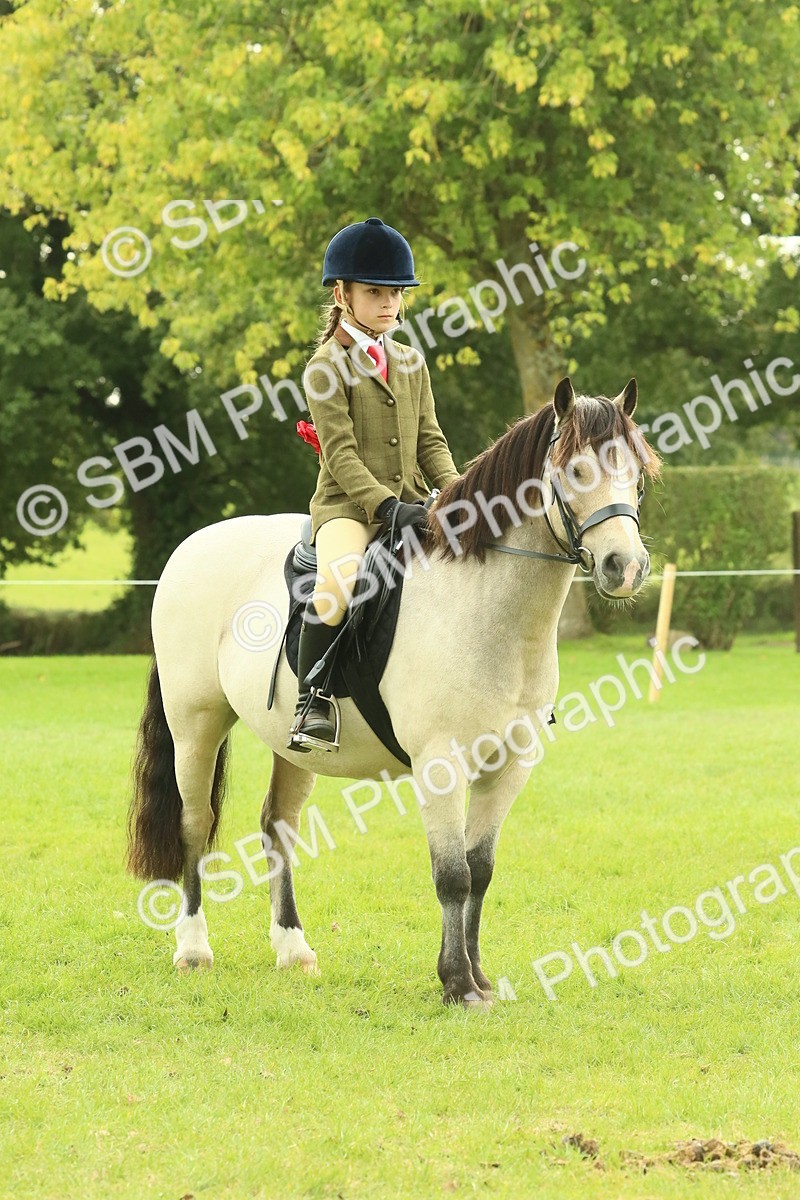 SBM_69939 - S59 - Mountain & Moorland Ridden Small Breeds
