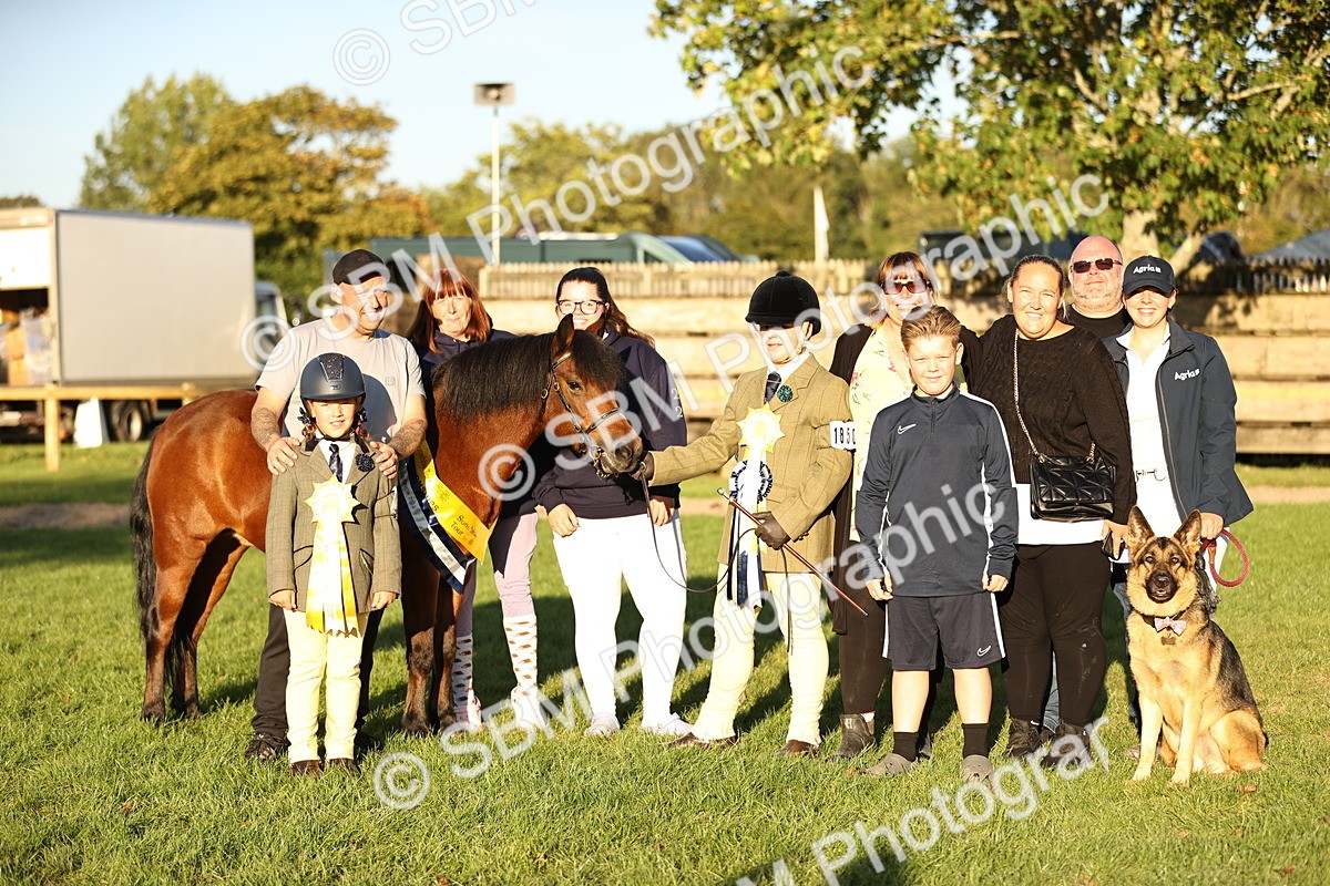 SBM_30166 - Novice & Newcomers Supreme Championship