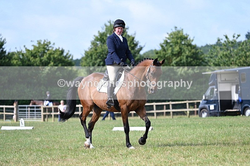 WJ7_1764 - Time 09:00 to 09:22