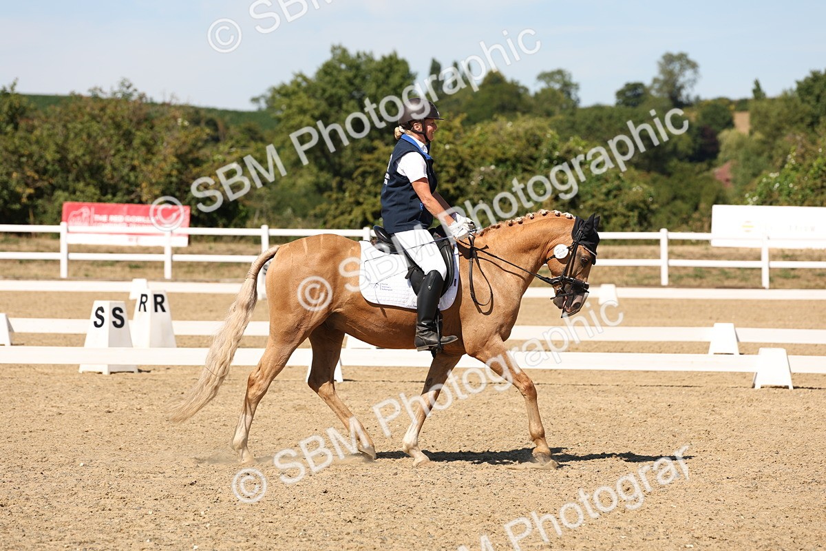 SBM_003660 - Elementary 4