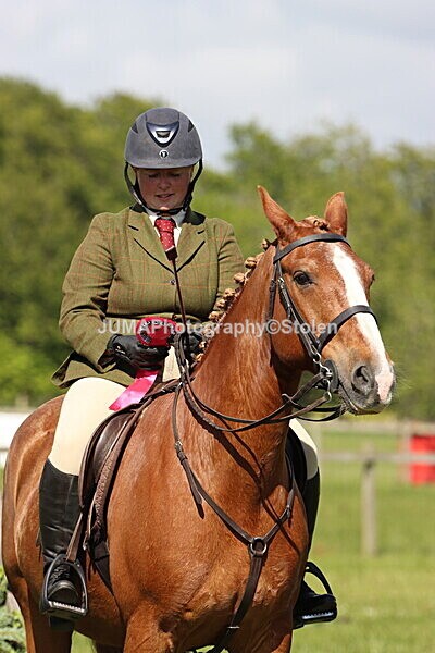IMG_4692 - Working Hunter