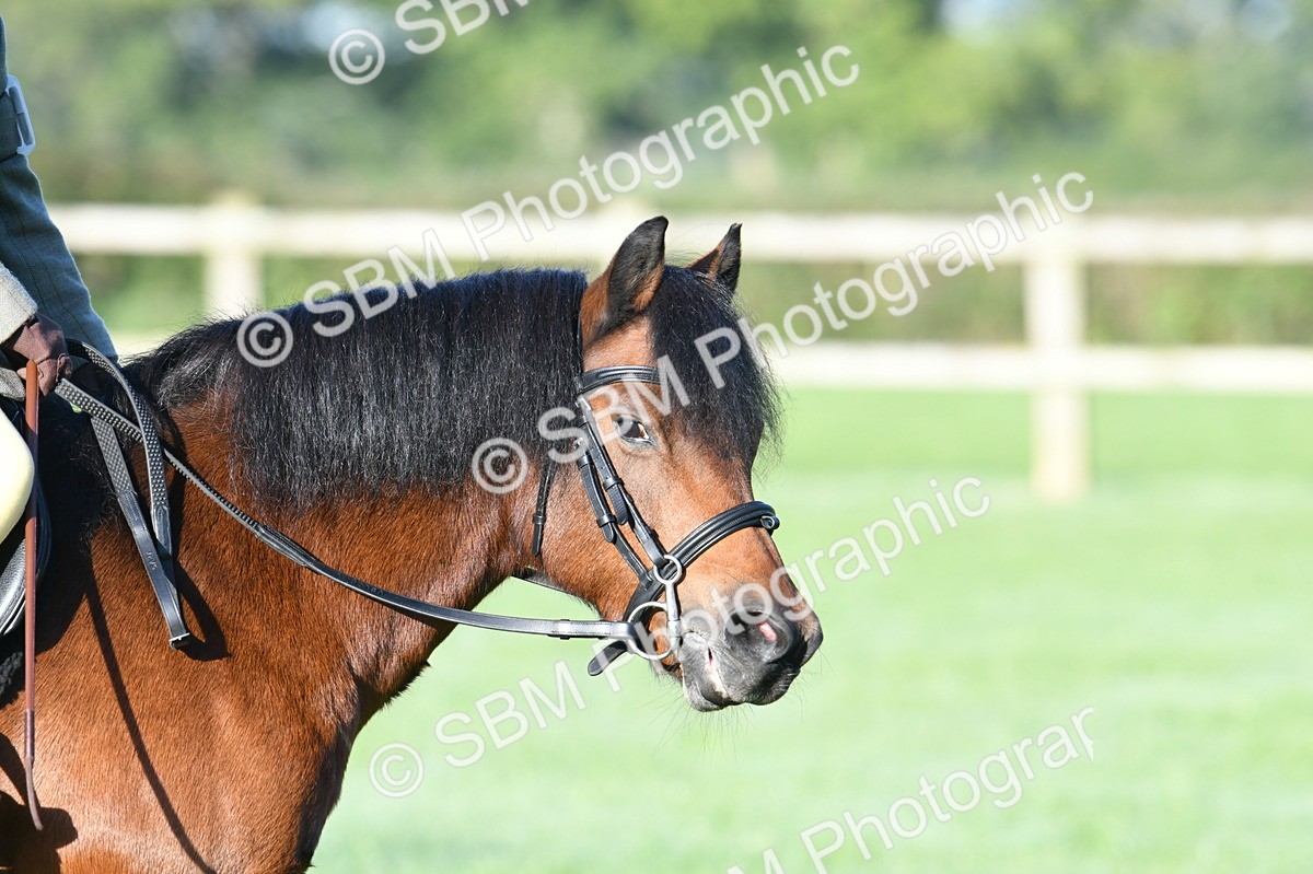 SBM_33863 - S16 - Condition & Turnout - Ridden