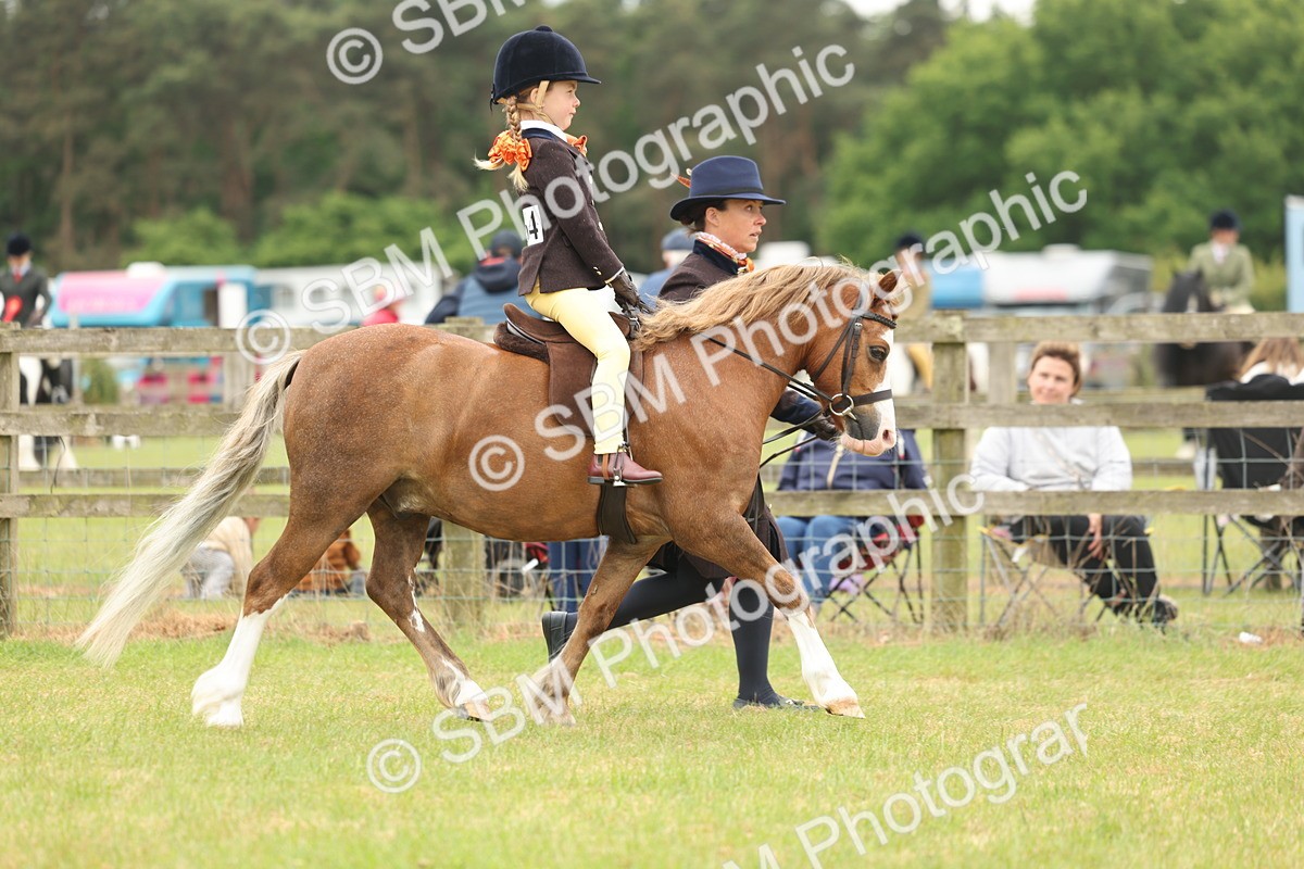 SBM_06725 - Class 74-75 - M&M Lead Rein and First Ridden Pony