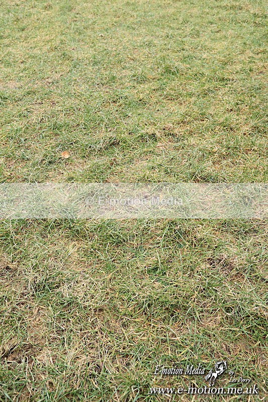 PtPres 16022520 - Presentations Combined Services PtP 16/02/25