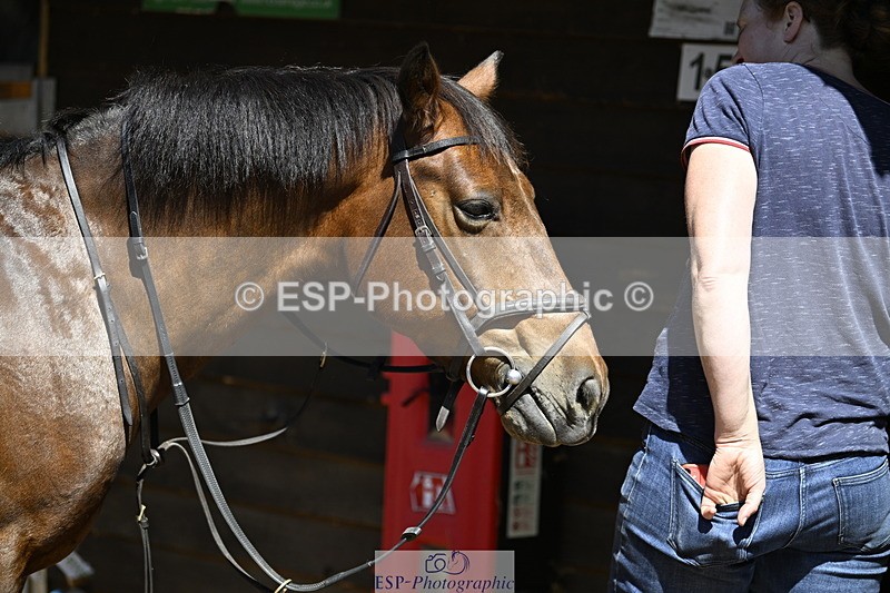 240728B-114744-00326 - Sunday Stable Shots and Fancy Dress