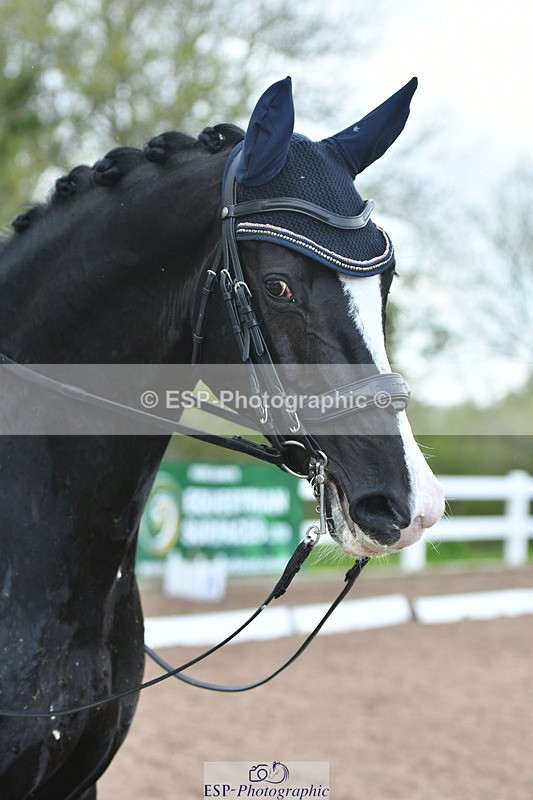 230511A-162750-01374 - BD Cls 18 FEI PSG