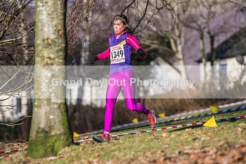 Cumbria XC-665 - Cumbria Cross Country Championships (Junior & Senior Races) Saturday 3rd January 2026