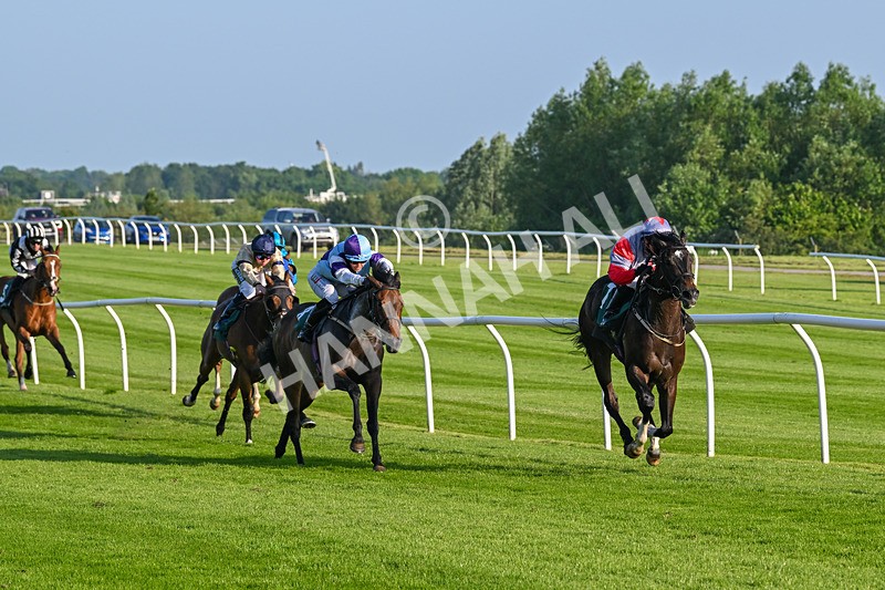 310524-Race 2-Dandy Fitz-8482 - Race 2