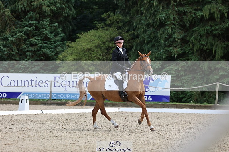 250718A-145144-02295 - 107-Beatrice.Coker-Brown-Portia.the.Fawn