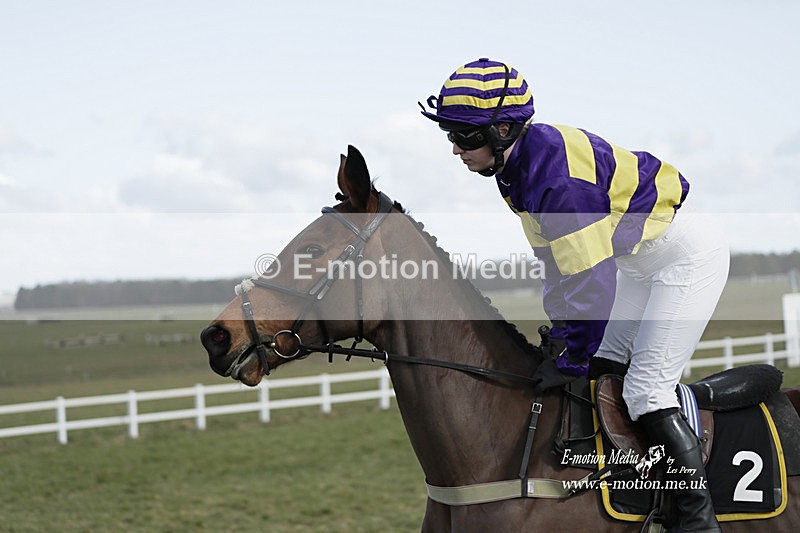 PtP 260223 61 - South & West Wilts Point-to-Point Larkhill 26/02/23