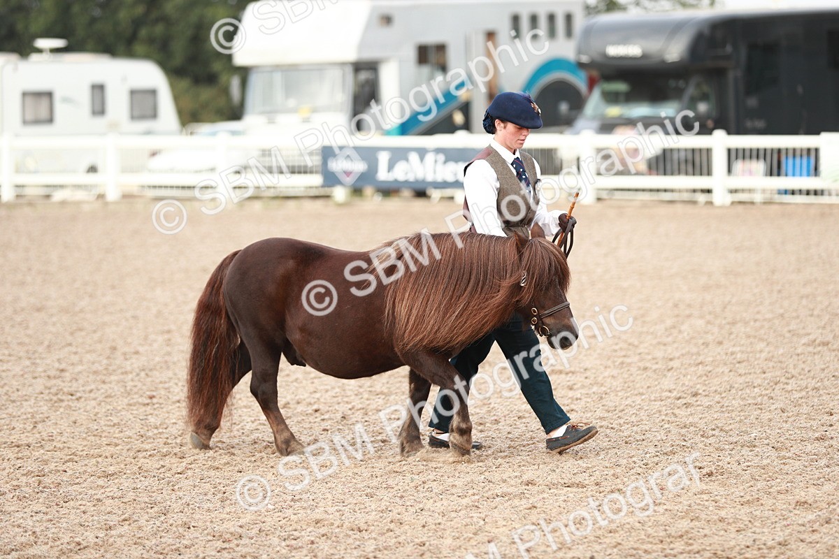 SBM_09474 - Class 201 Best Turned Out IH