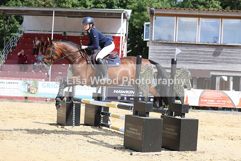 3E7A3611 - Class 4: Senior British Novice/90cm open