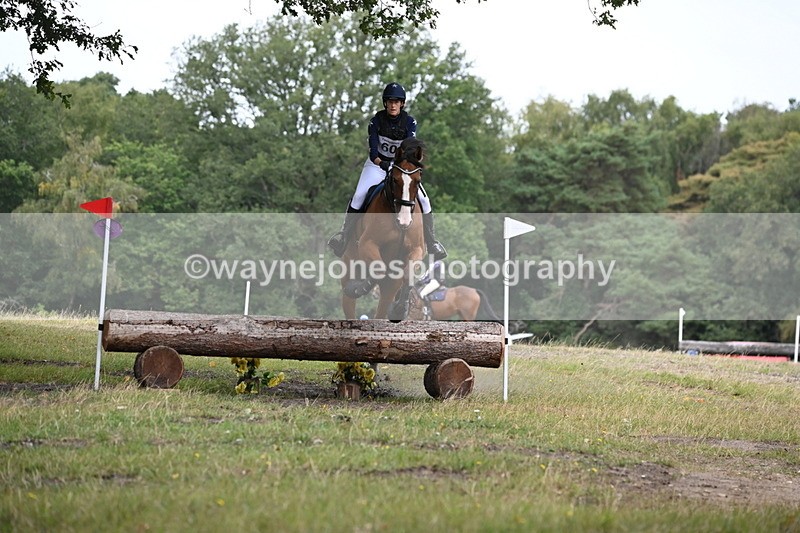 WJ6_0371 - XC Time 11:37 to 11:57