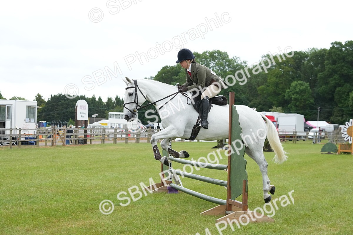 SBM_12589 - Class 97-98 - LIHS BSHA Rising Star Working Show Horse Hunter