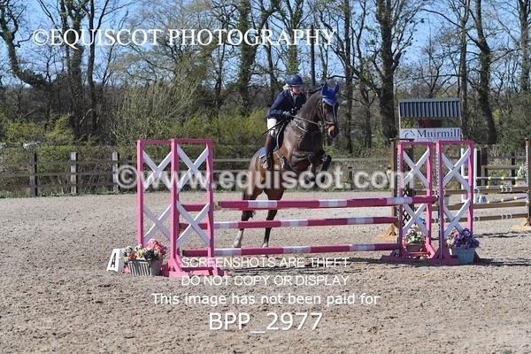 BPP_2977 - CLASS 12 BritiNovice/ 90cm Open