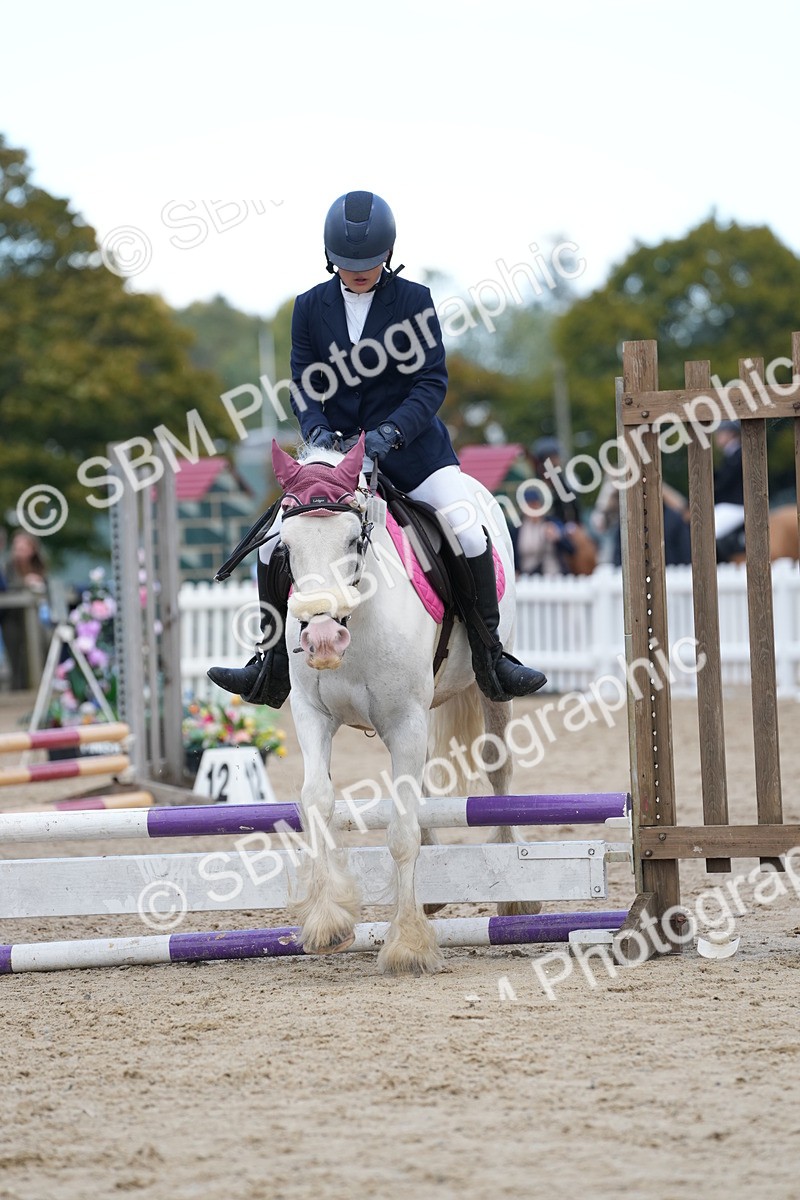 SBM_20674 - J49 - Open 50cm