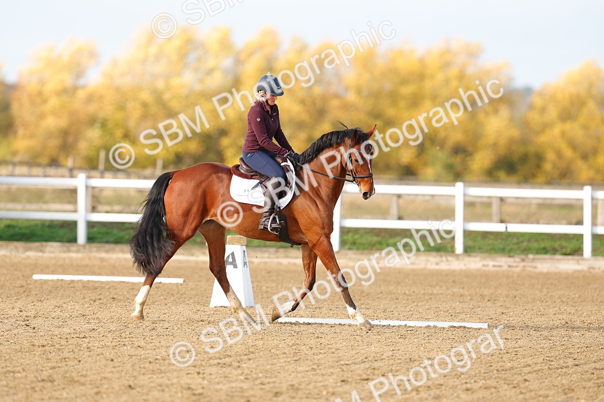 SBM_001136 - Class 13-4-9 - DR P3 CT P3 70cm CT PYO