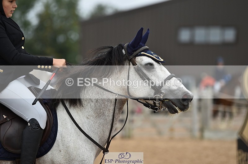 230902A-113024-00731 - Cls 2B Pony Small 80cm