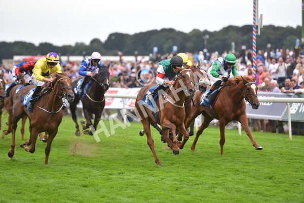 yr20082021r6-35 - Race 6 4.40pm Assured Data Protection British EBF Fillies' Stakes