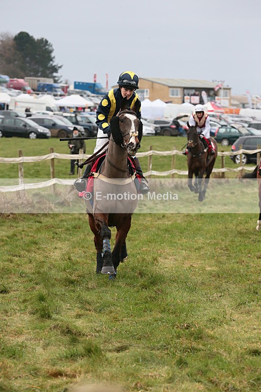 PtP 060119 81 - Larkhill Racing Club - Point-to-Point- 06/01/2019