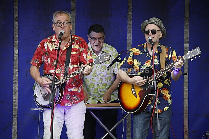  - ELMSTOCK 2019 the music makers