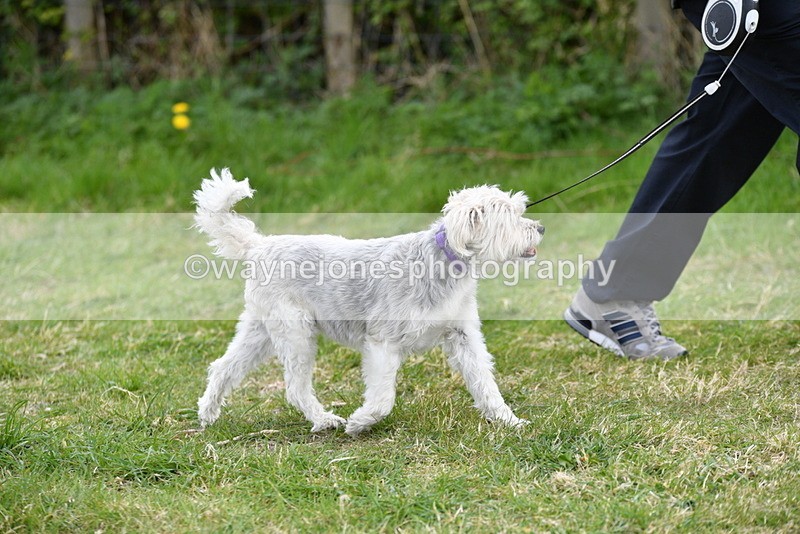 WJ5_0034 - Class 5 Best Veteran / 7 years & over