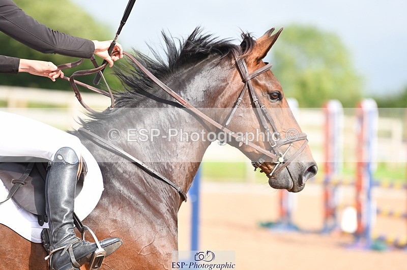 230711A-174020-00315 - 80cm