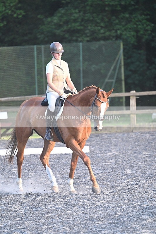 WJ7_0339 - Time 19:38 to 20:00