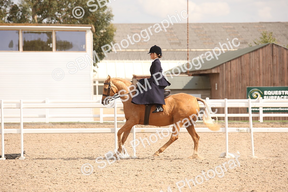 SBM_06730 - Class 24 Concours d'elegance