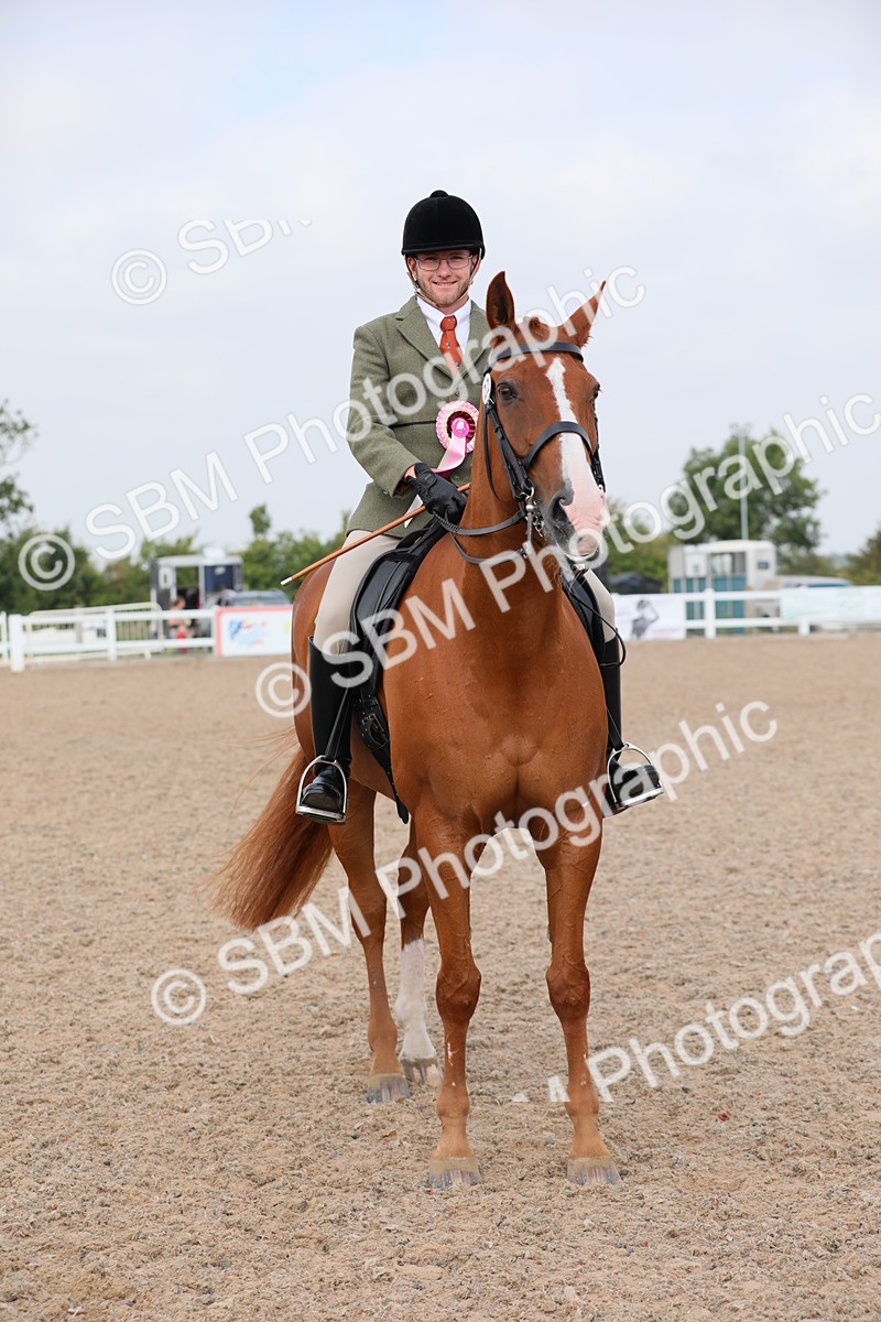SBM_11495 - Class 305 Ridden Foreign Breeds- Pure Bred