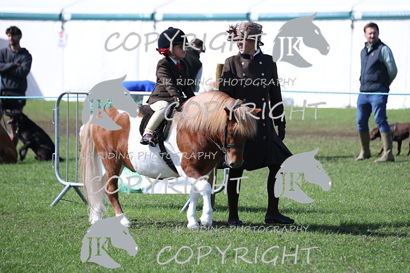 APP_3791 - Class 13 Lead rein