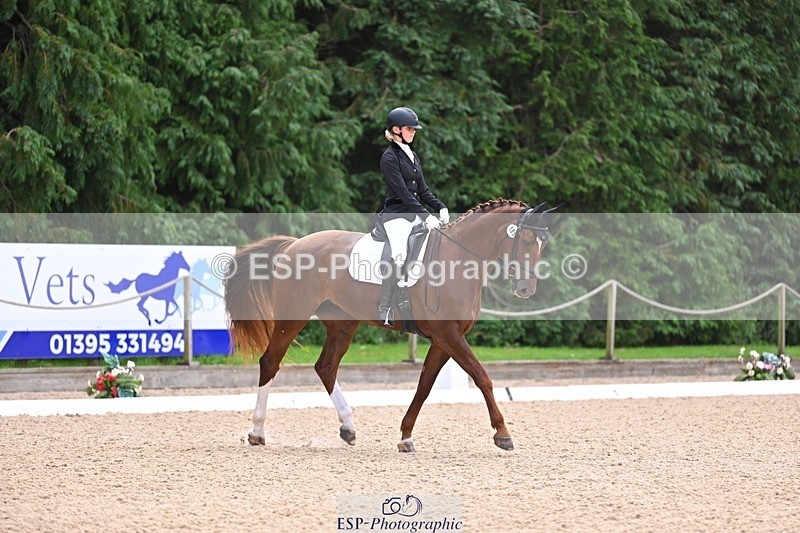 240809-121613-00716 - 185-Daisy.Hedges-Felicia.v