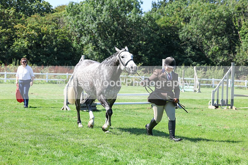 3E7A8468 - Class 4: Novice working Hunter